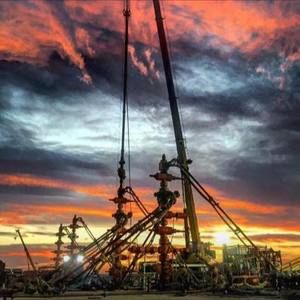 Meet your Posher, Phillip